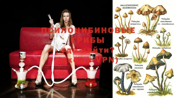 марихуана Абинск