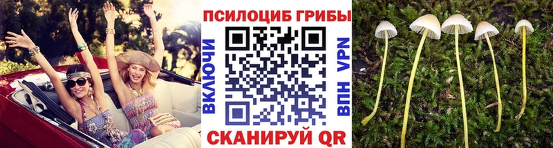Псилоцибиновые грибы мицелий  маркетплейс Telegram  Рославль  как найти закладки 